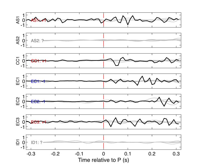 Waveforms