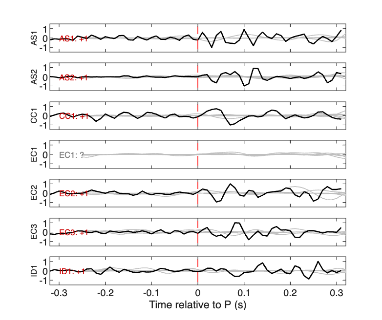 Waveforms