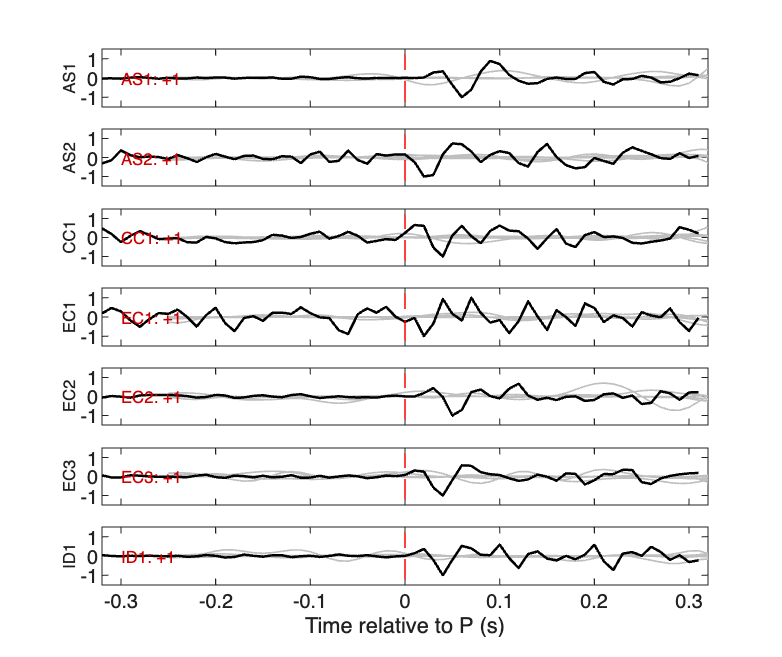Waveforms