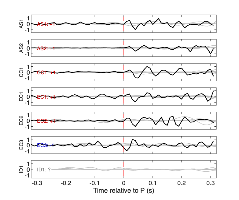 Waveforms