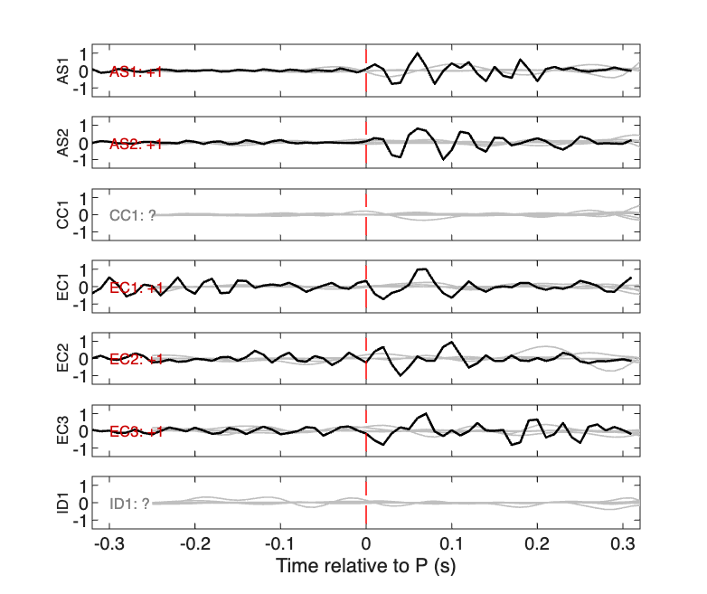 Waveforms