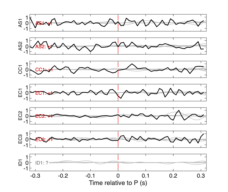 Waveforms