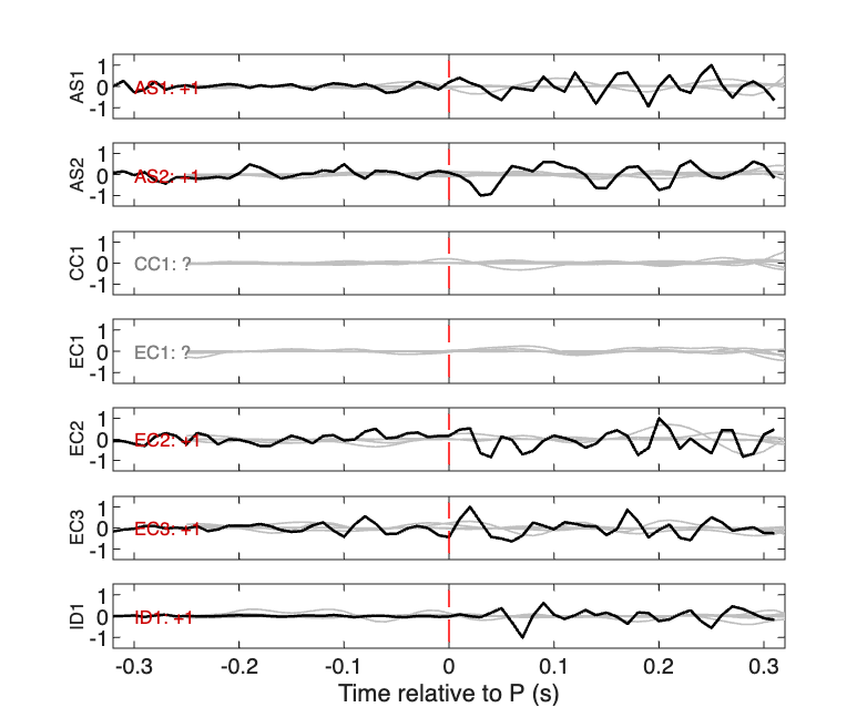 Waveforms