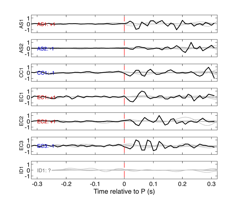 Waveforms